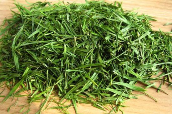 哪類人不適合喝石竹茶，石竹茶的功效與禁忌