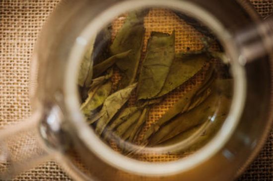 苦丁茶副作用，苦丁可以經(jīng)常喝嗎？