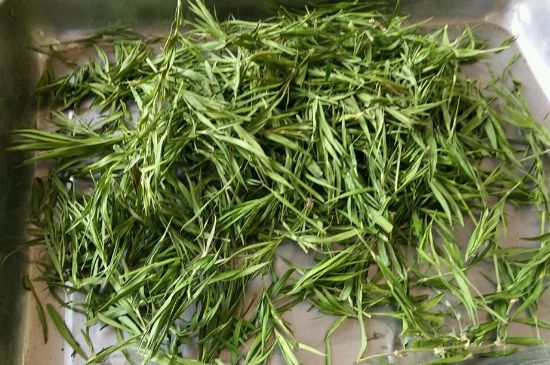 哪類人不適合喝石竹茶，石竹茶的功效與禁忌