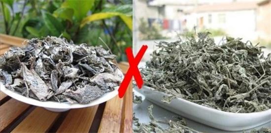 張家界茅巖莓茶與藤茶是同一種茶嗎，藤茶跟莓茶一不一樣？