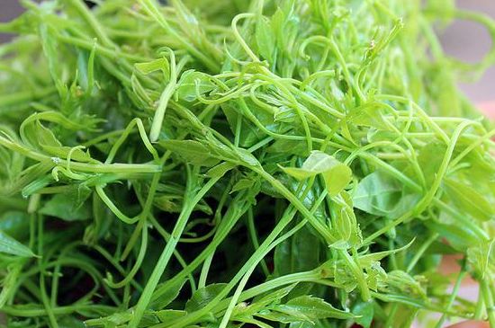 茅巖莓茶別名是什么，莓茶別名叫藤茶嗎？