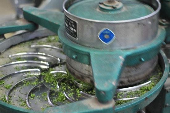 武夷巖茶的初制、精制加工工藝詳細講解