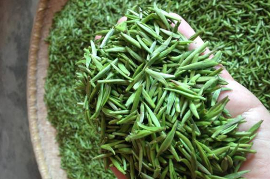 采茶的方法與步驟，如何正確采摘茶葉？