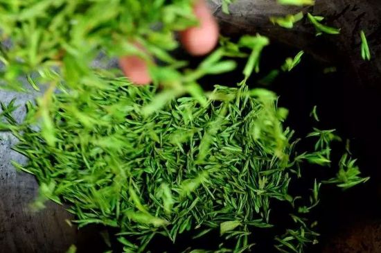 龍井茶炒茶葉怎么炒出好茶色，茶葉怎樣做出來最綠？