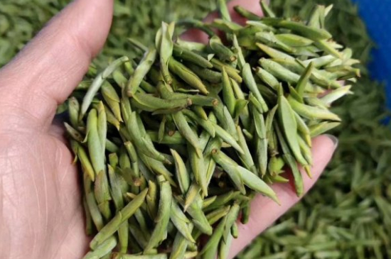 龍井茶好壞的鑒別圖片，如何區(qū)別龍井茶的好壞？