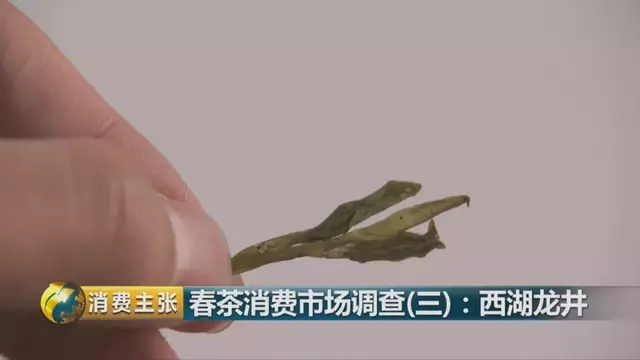 龍井群體種和43號(hào)的區(qū)別圖片，龍井43和群體種哪個(gè)好喝？